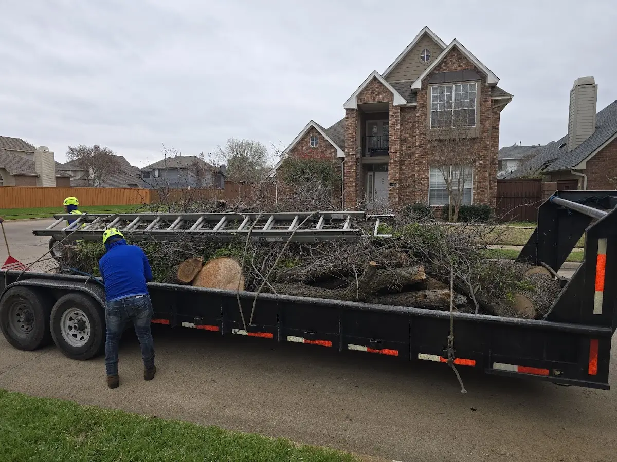 Expert Lot Clearing with proper safety equipment in Coppell